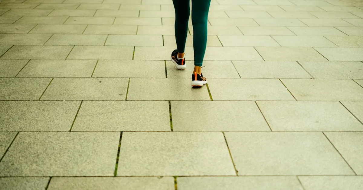 Illustration de l'article