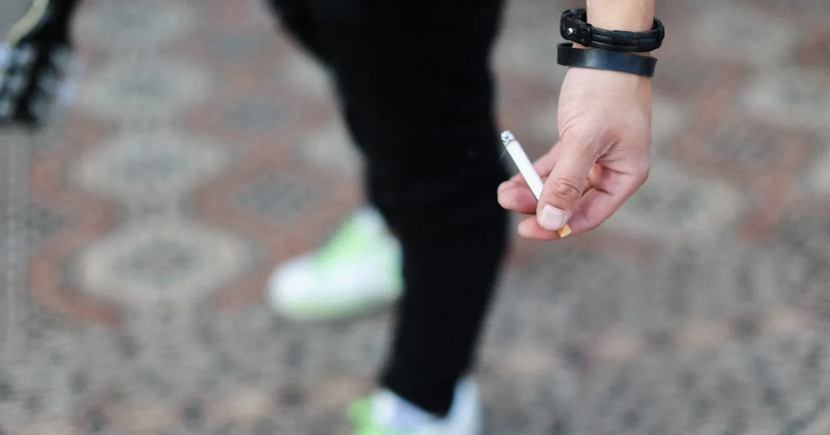 Illustration de l'article